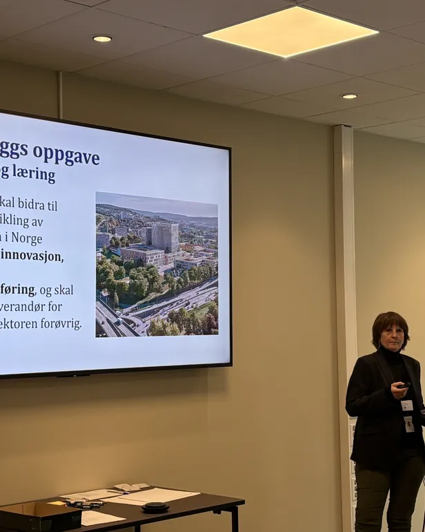 En person som står foran en projeksjonsskjerm